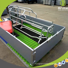 Hot Sale Farrowing Crate For Pig High Quality Pig Equipment for Sows
